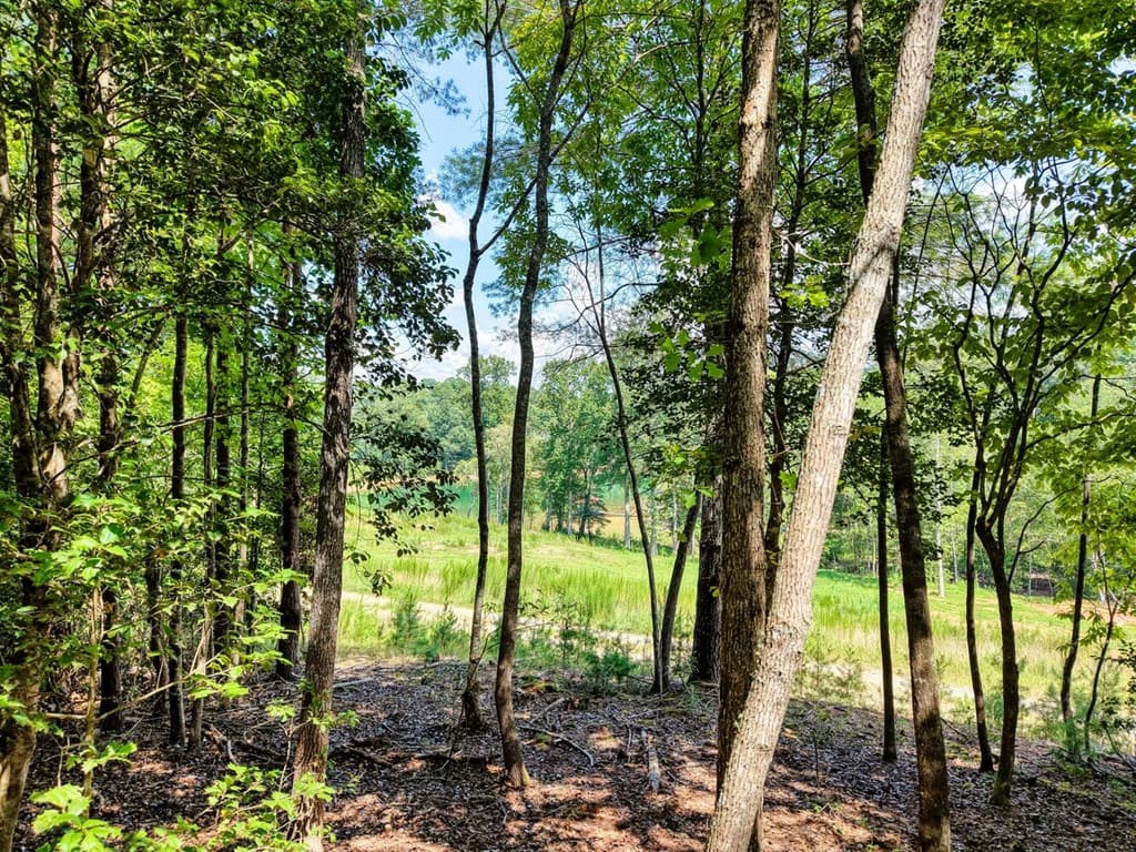 238 Virginia Lane, Blairsville GA 30512 - Photo