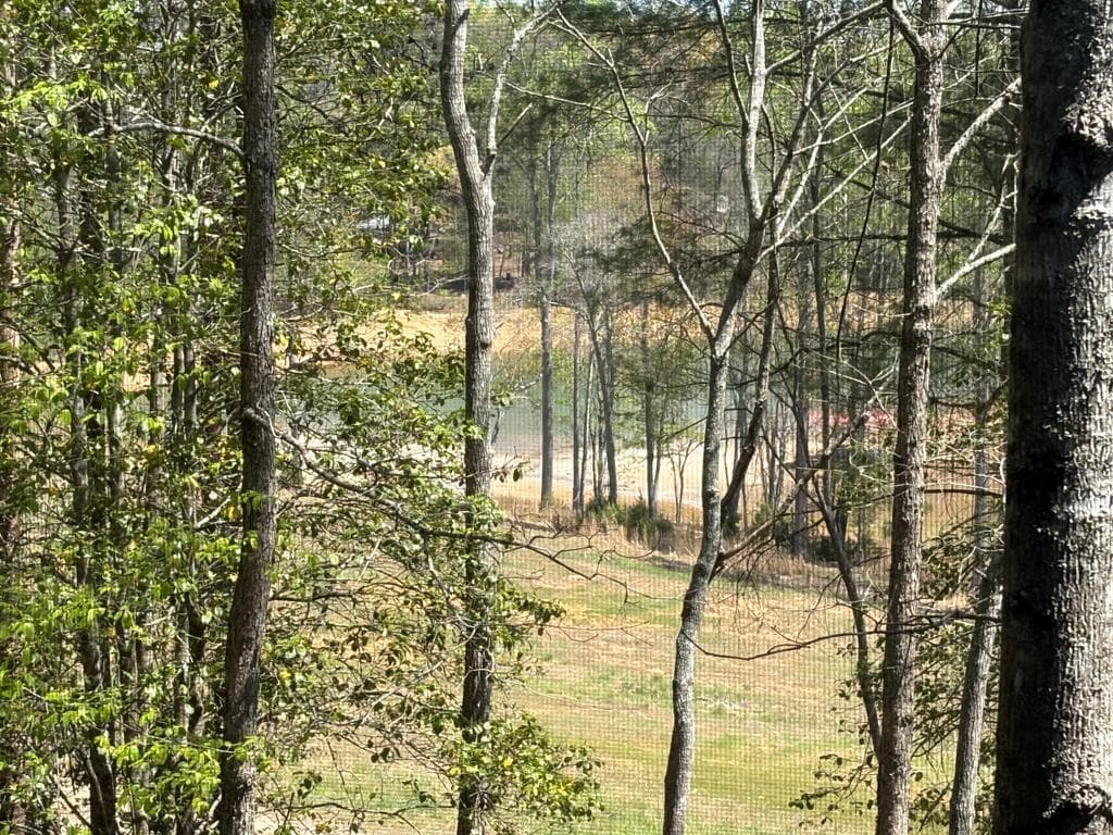 238 Virginia Lane, Blairsville GA 30512 - Photo