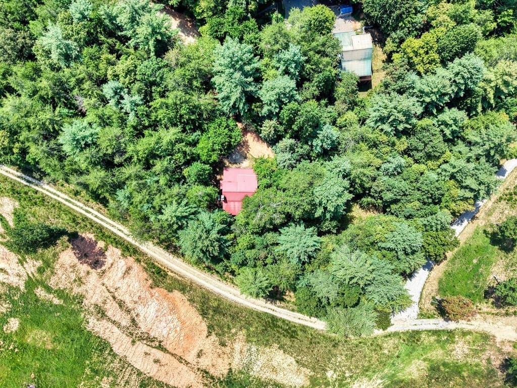 238 Virginia Lane, Blairsville GA 30512 - Photo