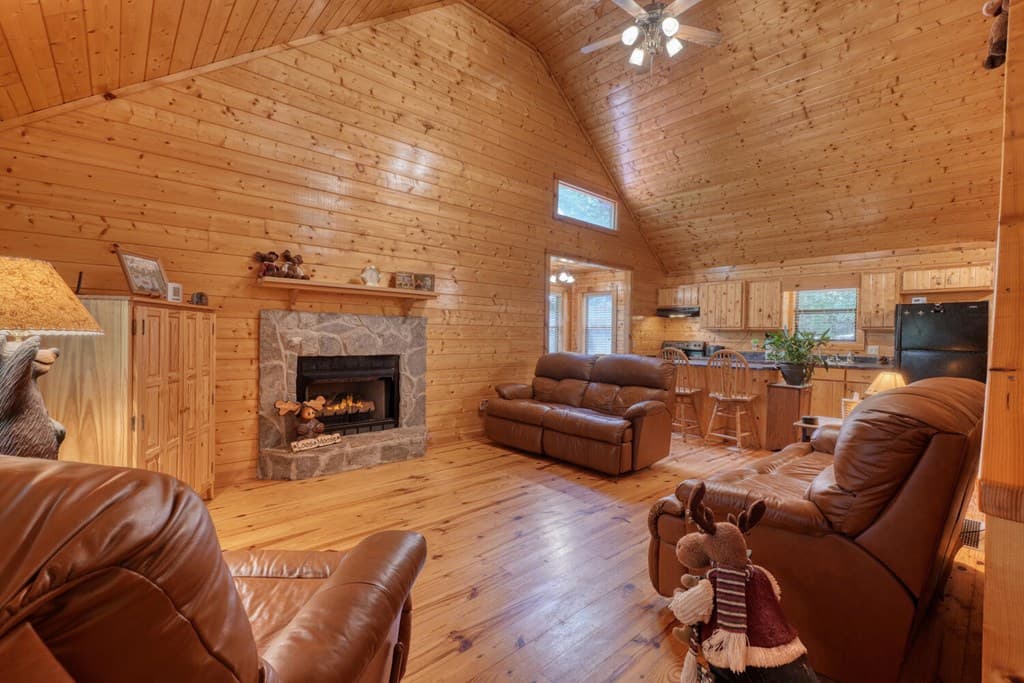 238 Virginia Lane, Blairsville GA 30512 - Photo