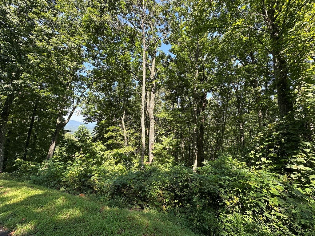 Lt 64/65 Rocky Knob Estates, Young Harris GA 30582 - Photo