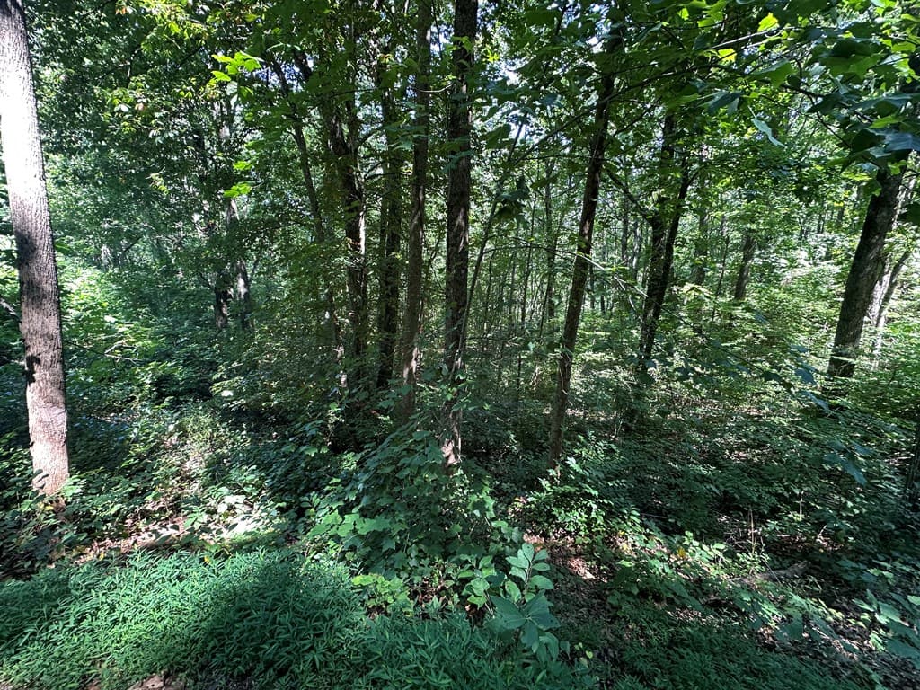Lt 64/65 Rocky Knob Estates, Young Harris GA 30582 - Photo