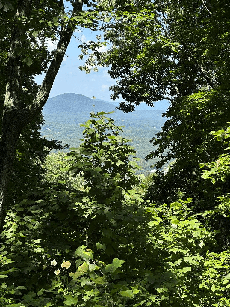 Lt 64/65 Rocky Knob Estates, Young Harris GA 30582 - Photo