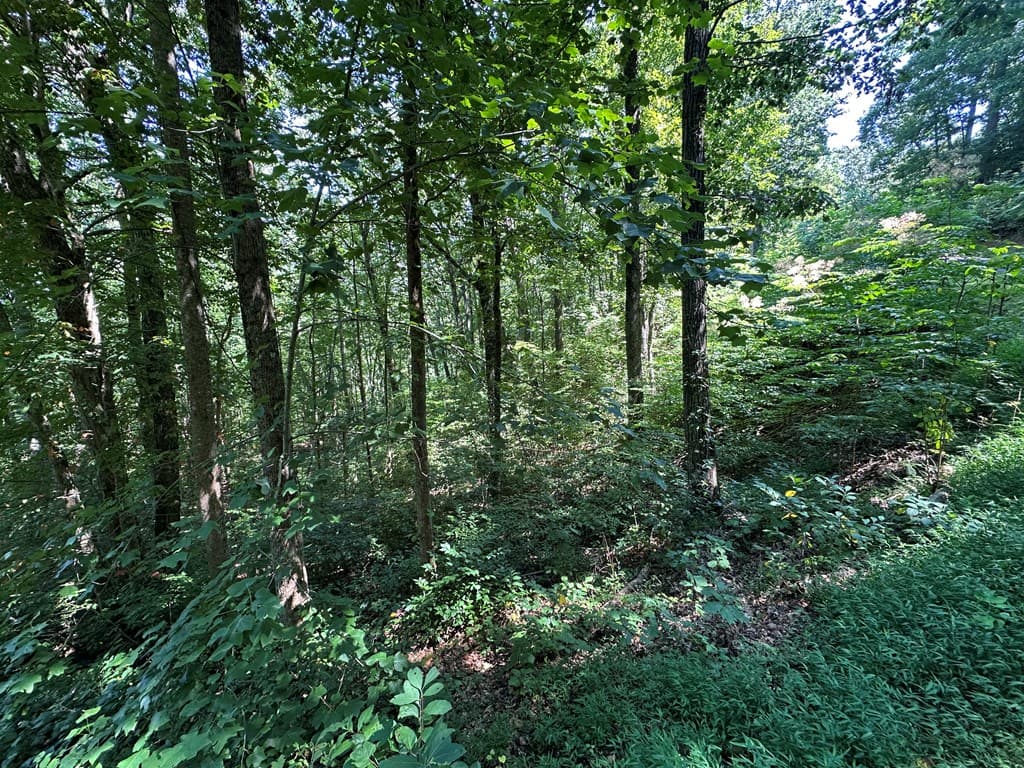 Lt 64/65 Rocky Knob Estates, Young Harris GA 30582 - Photo