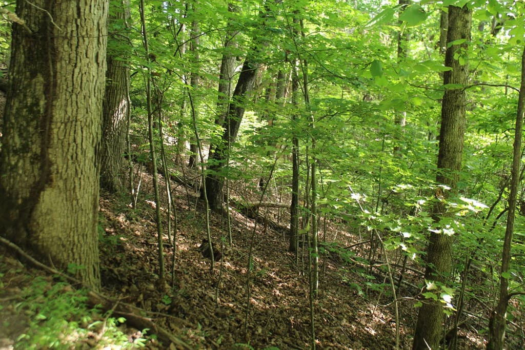 Lot 20 Skid Strip Lane, Hayesville NC 28904 - Photo