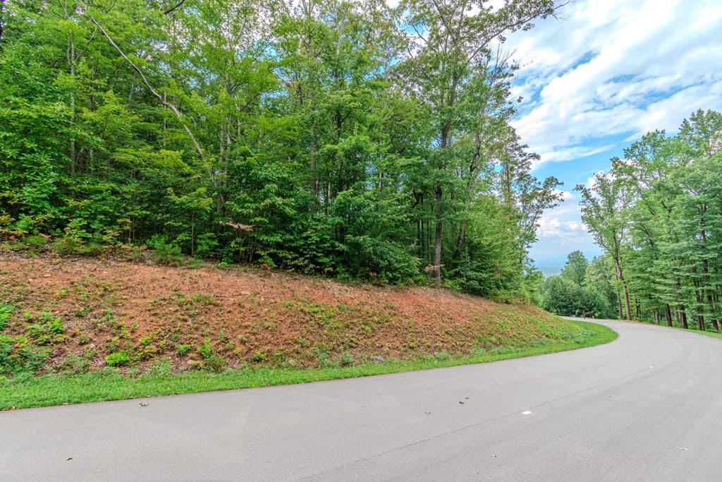 Lot 219 Stone Cliff Drive, Jasper GA 30143 - Photo