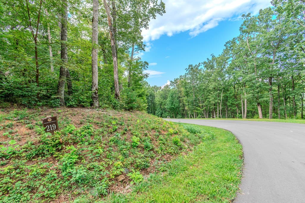 Lot 219 Stone Cliff Drive, Jasper GA 30143 - Photo