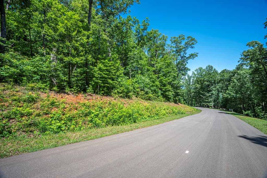 Lot 219 Stone Cliff Drive, Jasper GA 30143 - Photo