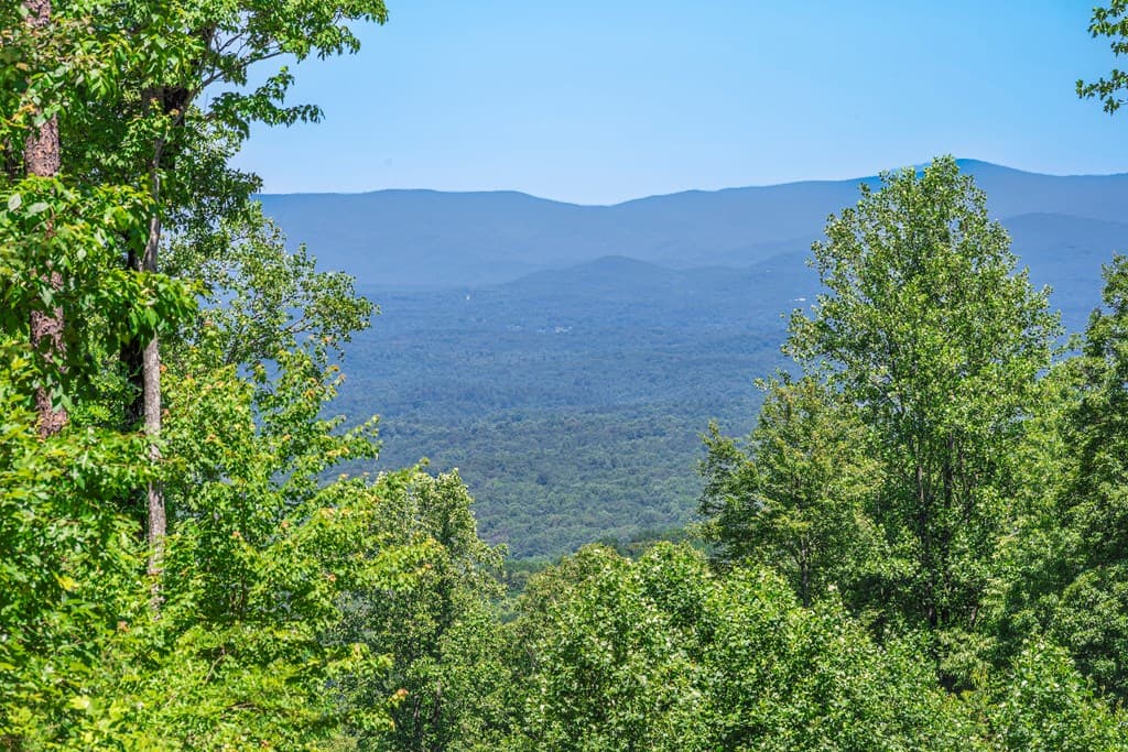 Lot 219 Stone Cliff Drive, Jasper GA 30143 - Photo