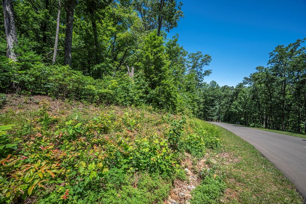 Lot 219 Stone Cliff Drive, Jasper GA 30143 - Photo