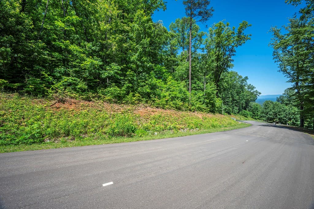 Lot 219 Stone Cliff Drive, Jasper GA 30143 - Photo