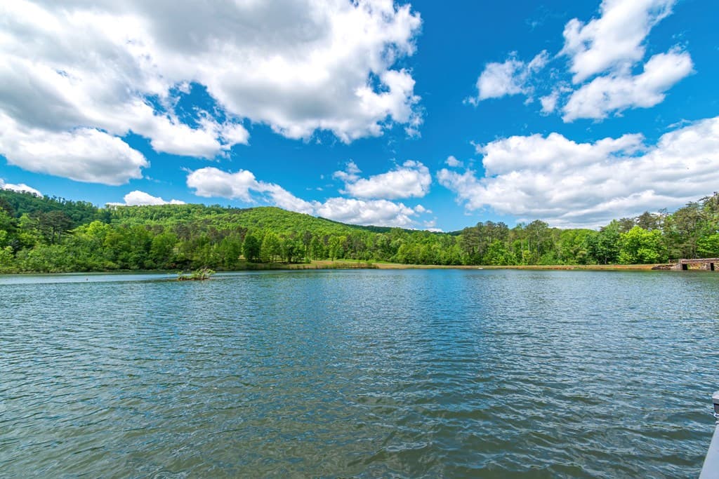 Lot 219 Stone Cliff Drive, Jasper GA 30143 - Photo