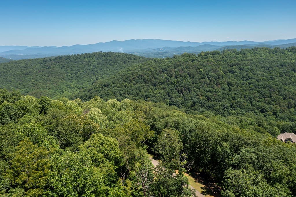 Lot 219 Stone Cliff Drive, Jasper GA 30143 - Photo