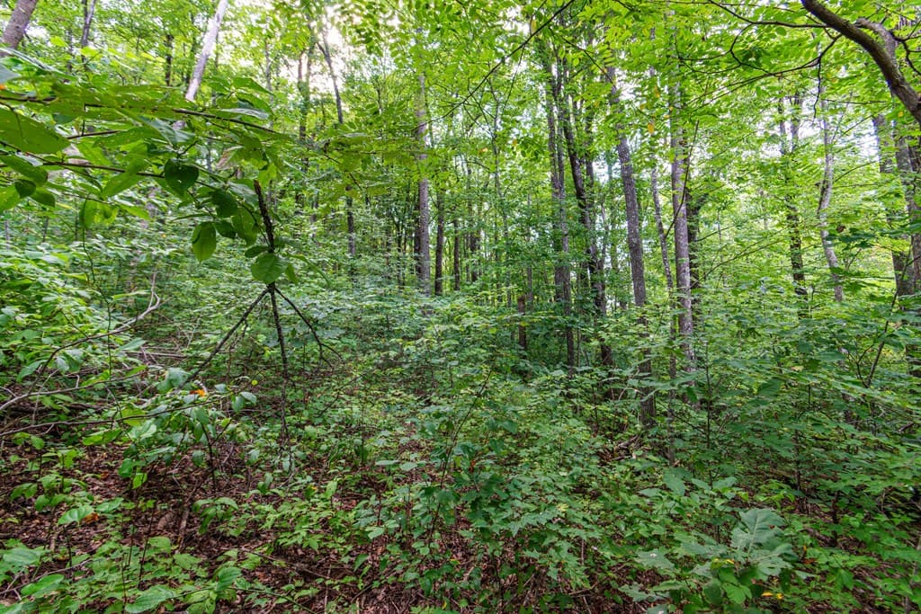 Lot 219 Stone Cliff Drive, Jasper GA 30143 - Photo