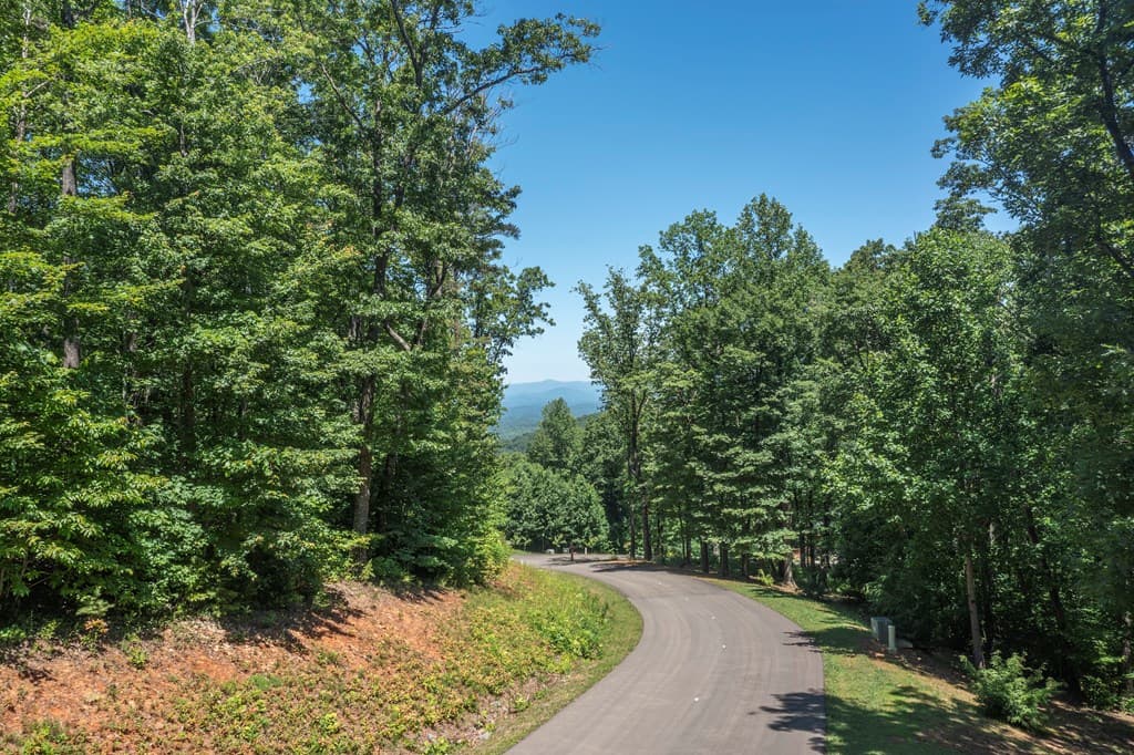 Lot 219 Stone Cliff Drive, Jasper GA 30143 - Photo
