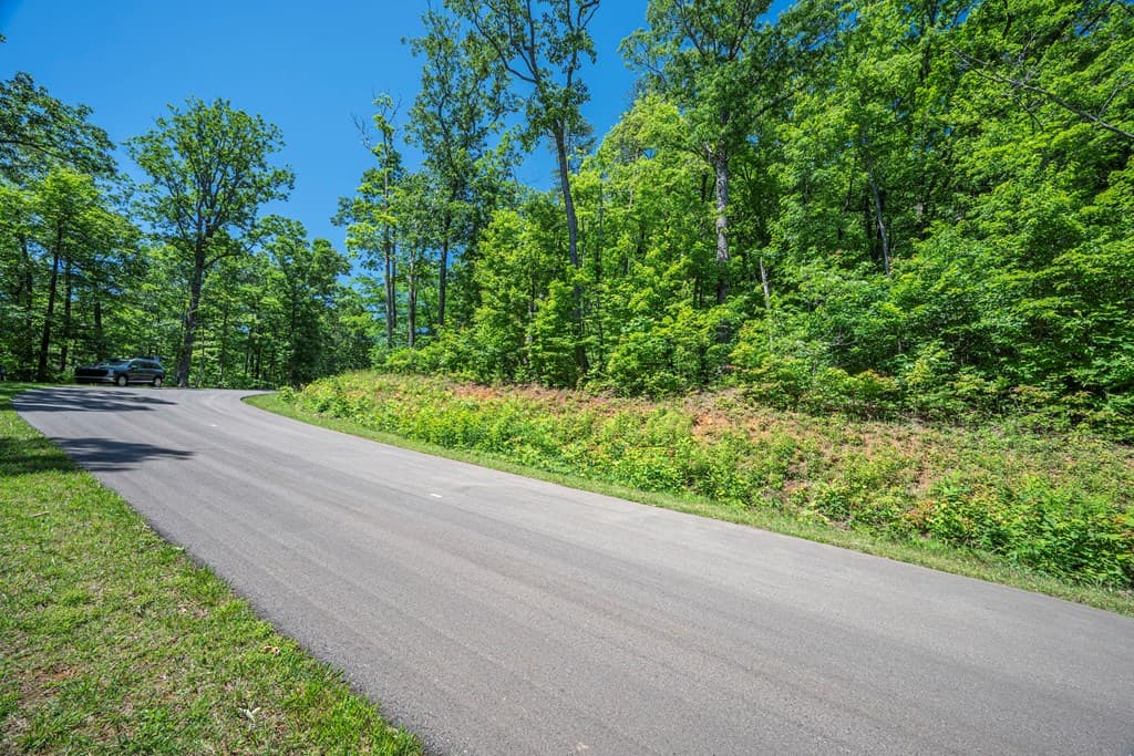 Lot 219 Stone Cliff Drive, Jasper GA 30143 - Photo