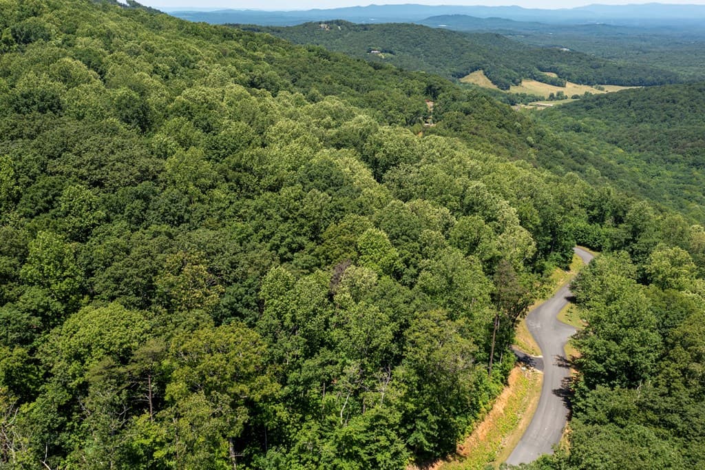 Lot 219 Stone Cliff Drive, Jasper GA 30143 - Photo