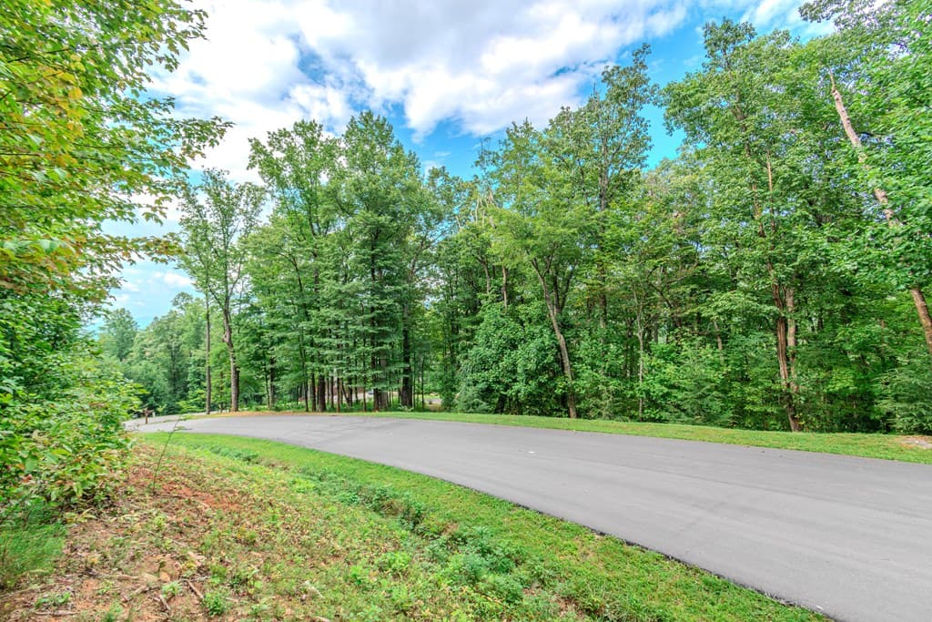 Lot 219 Stone Cliff Drive, Jasper GA 30143 - Photo