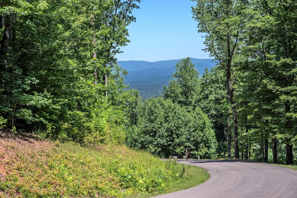 Lot 219 Stone Cliff Drive, Jasper GA 30143 - Primary photo