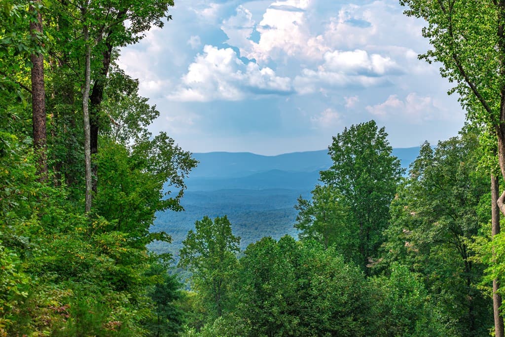 Lot 219 Stone Cliff Drive, Jasper GA 30143 - Photo