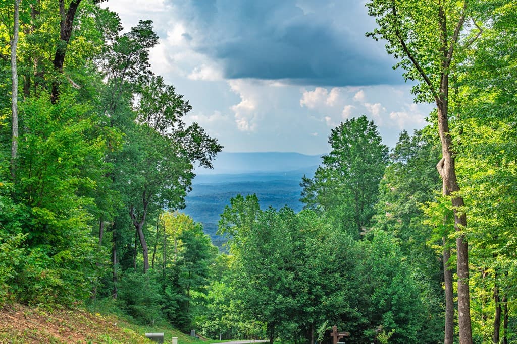 Lot 219 Stone Cliff Drive, Jasper GA 30143 - Photo