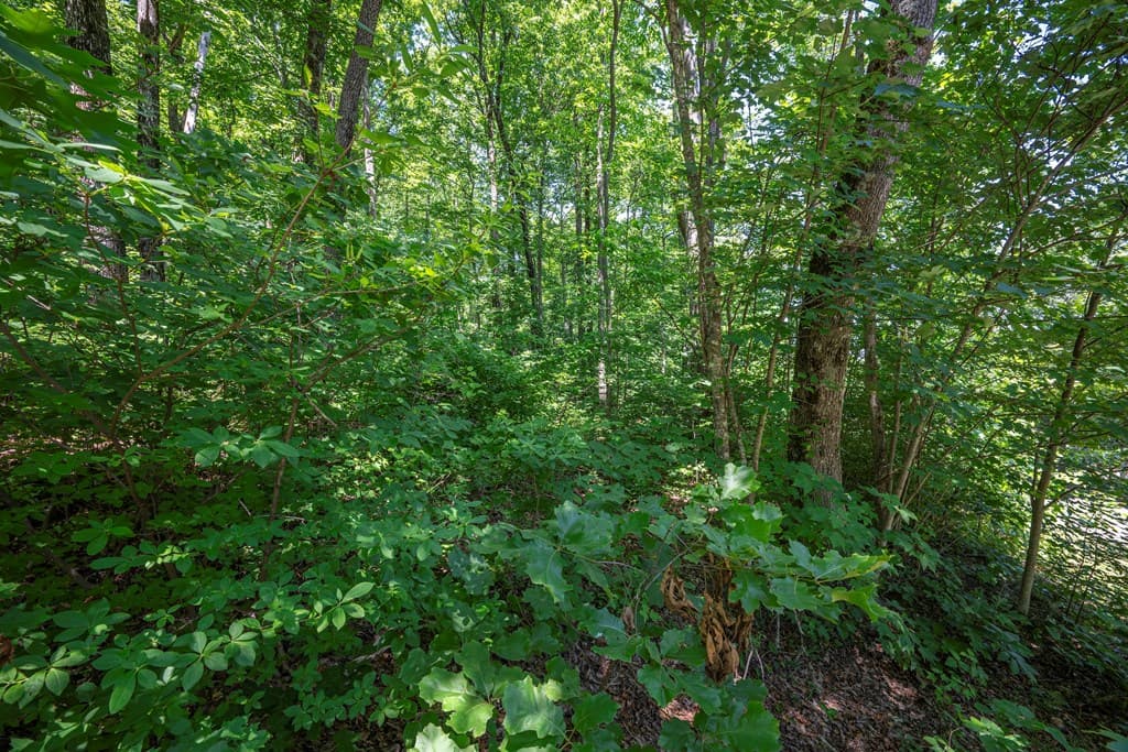 Lot 219 Stone Cliff Drive, Jasper GA 30143 - Photo