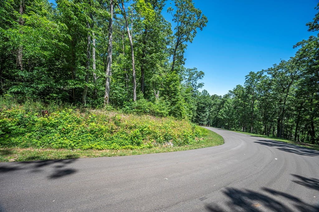Lot 219 Stone Cliff Drive, Jasper GA 30143 - Photo