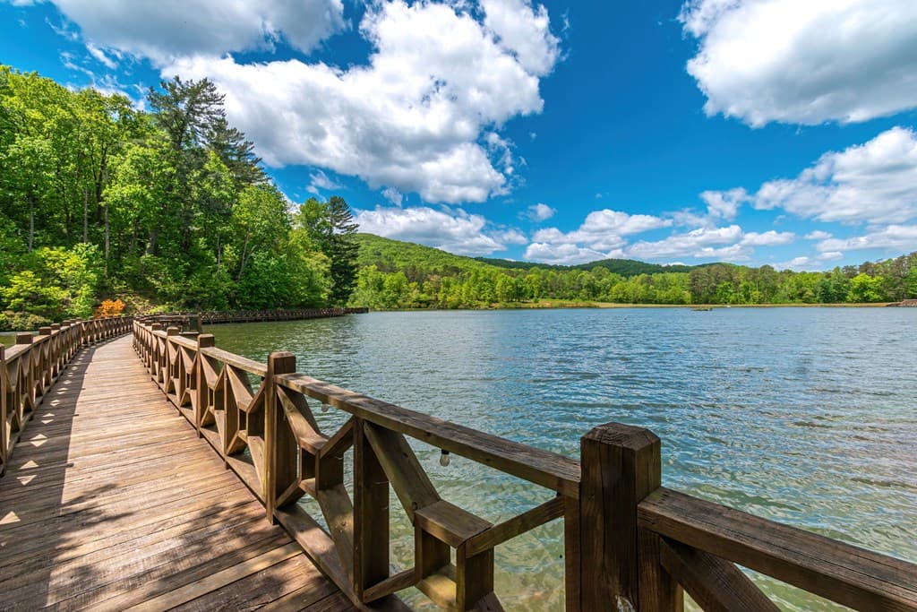 Lot 219 Stone Cliff Drive, Jasper GA 30143 - Photo
