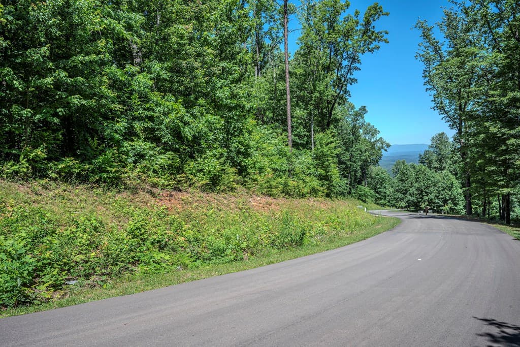 Lot 219 Stone Cliff Drive, Jasper GA 30143 - Photo