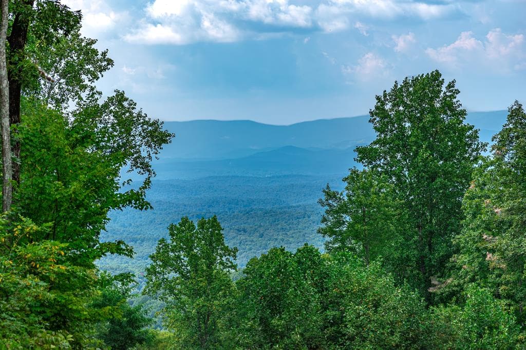 Lot 219 Stone Cliff Drive, Jasper GA 30143 - Photo