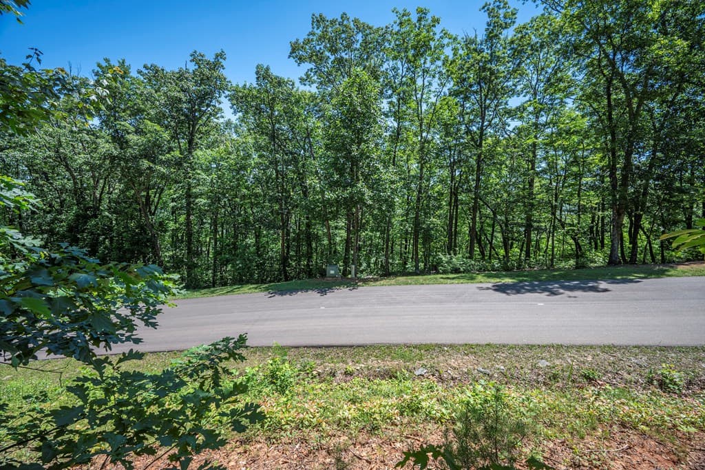 Lot 219 Stone Cliff Drive, Jasper GA 30143 - Photo