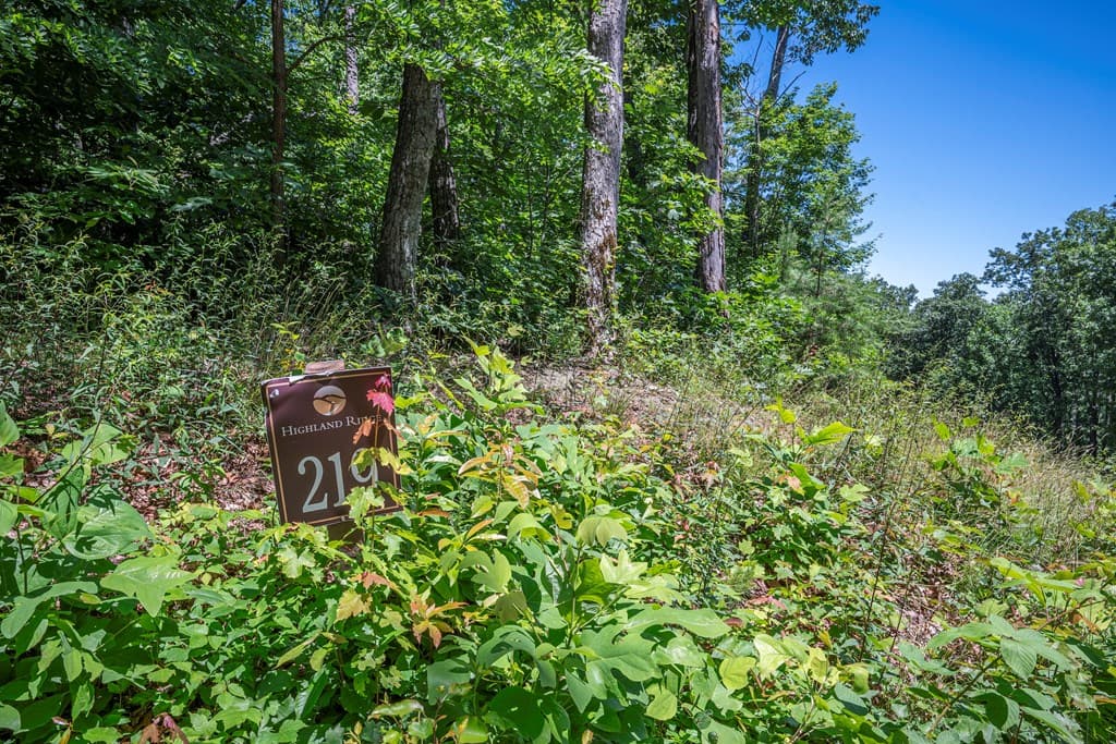 Lot 219 Stone Cliff Drive, Jasper GA 30143 - Photo