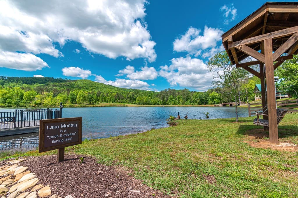 Lot 219 Stone Cliff Drive, Jasper GA 30143 - Photo