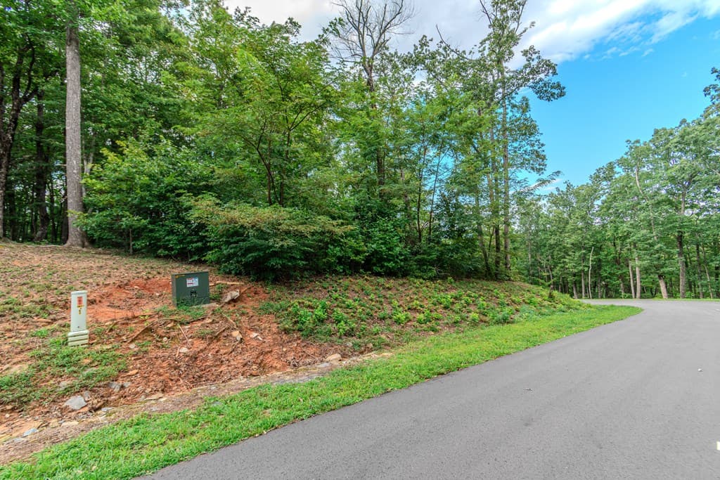 Lot 219 Stone Cliff Drive, Jasper GA 30143 - Photo