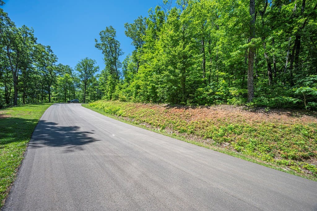 Lot 219 Stone Cliff Drive, Jasper GA 30143 - Photo
