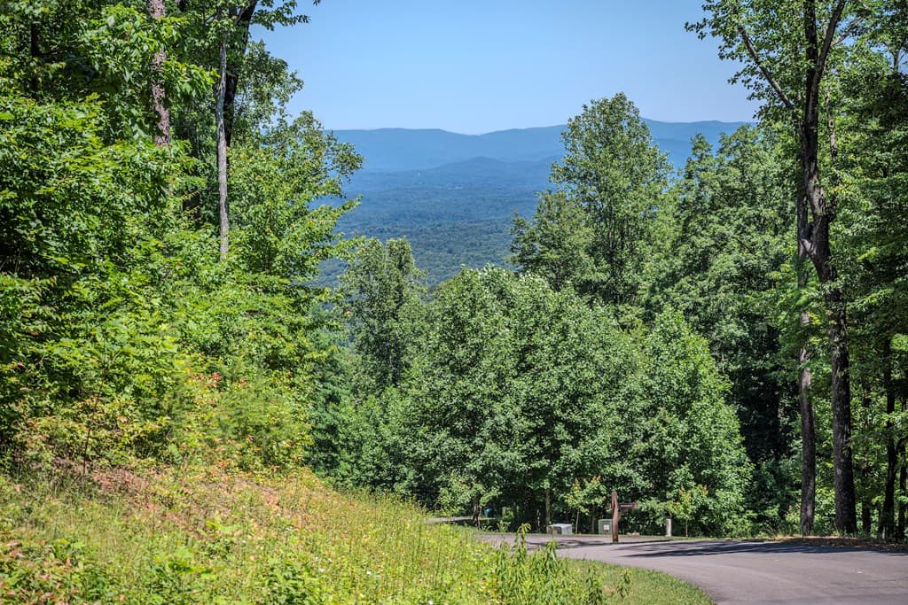 Lot 219 Stone Cliff Drive, Jasper GA 30143 - Photo