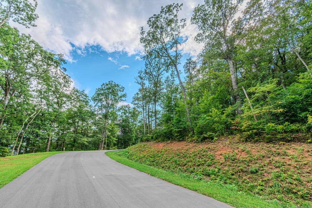 Lot 219 Stone Cliff Drive, Jasper GA 30143 - Photo