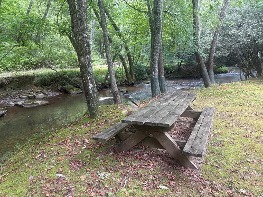 141 Friendship Lane, Mineral Bluff GA 30559 - Photo