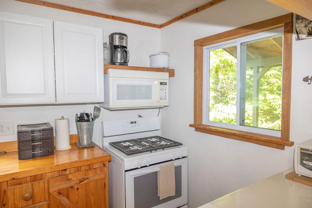 141 Friendship Lane, Mineral Bluff GA 30559 - Photo