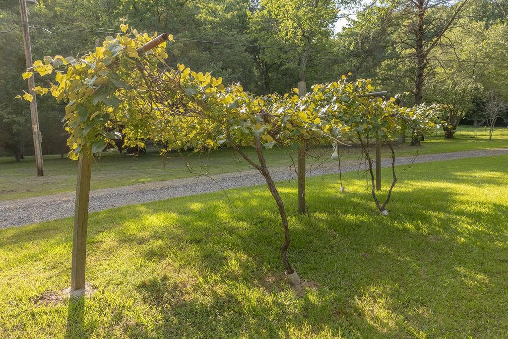 141 Friendship Lane, Mineral Bluff GA 30559 - Photo