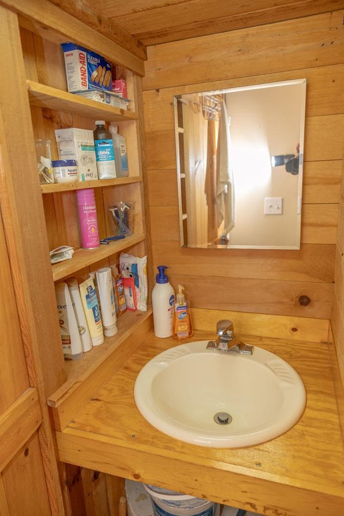 141 Friendship Lane, Mineral Bluff GA 30559 - Photo