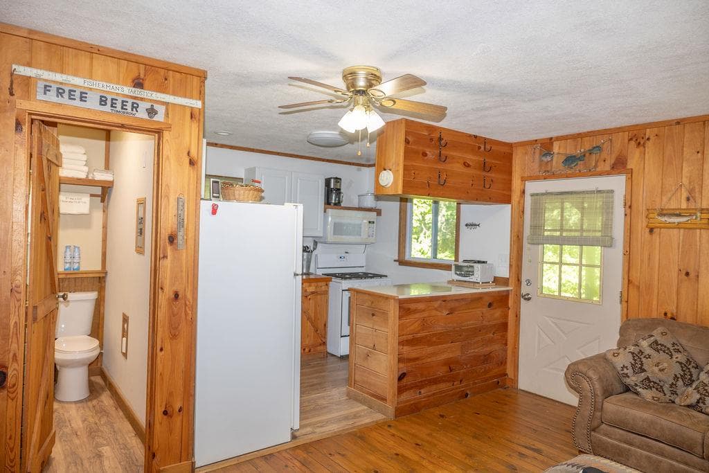 141 Friendship Lane, Mineral Bluff GA 30559 - Photo