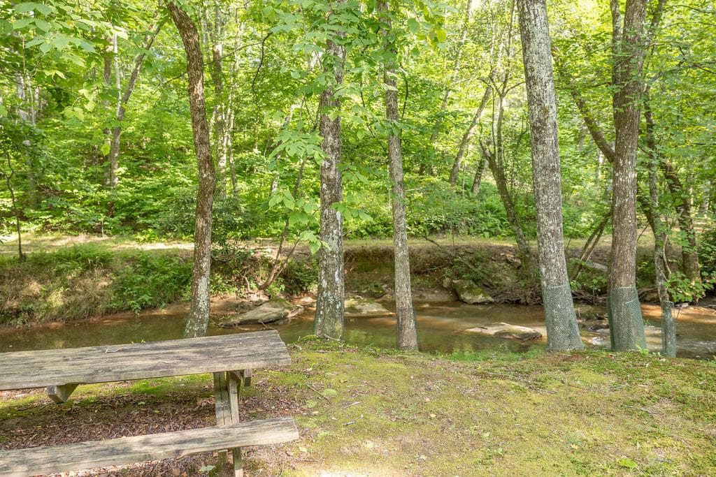 141 Friendship Lane, Mineral Bluff GA 30559 - Photo