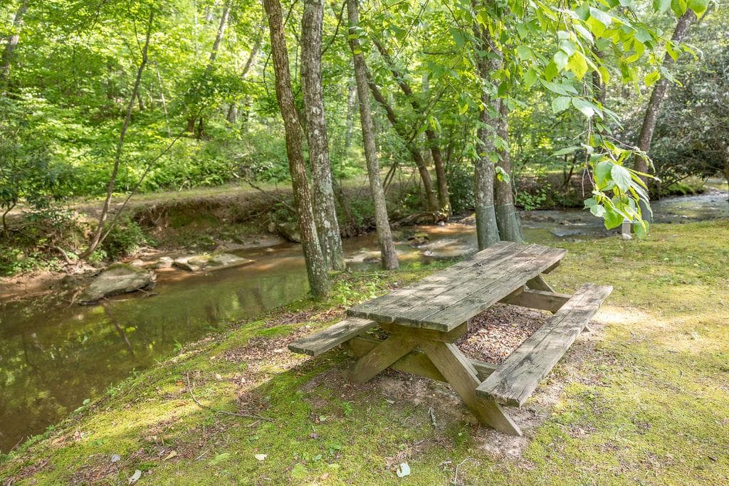 141 Friendship Lane, Mineral Bluff GA 30559 - Photo