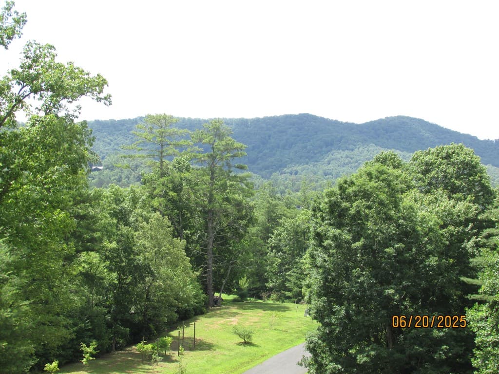 #10 Shelton Springs S/D, Hayesville NC 28904 - Photo