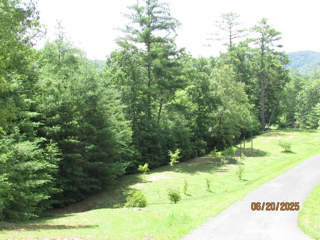 #10 Shelton Springs S/D, Hayesville NC 28904 - Photo