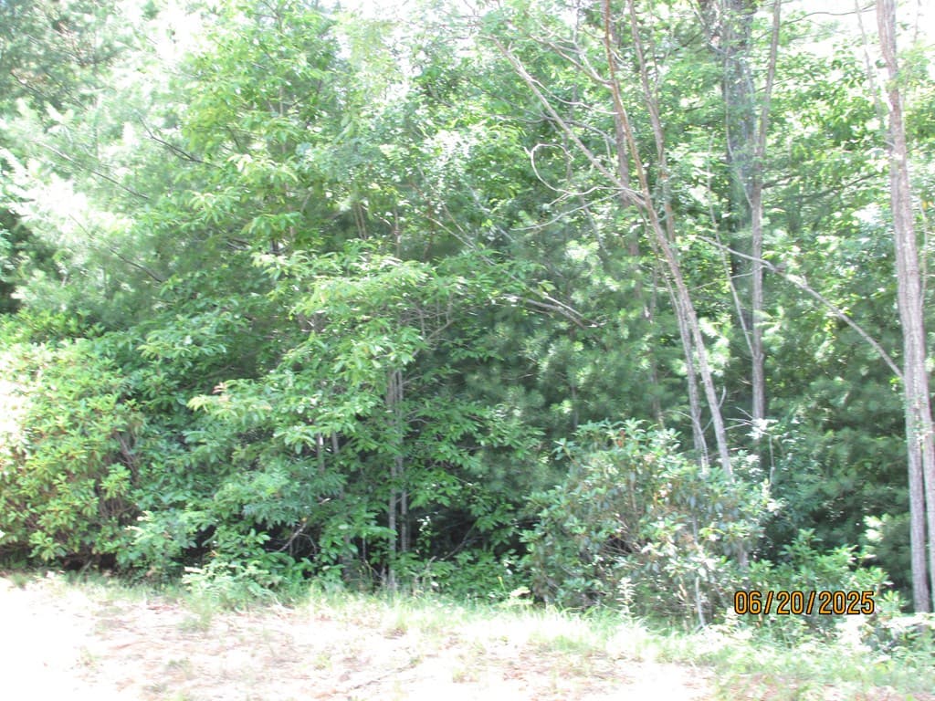 #10 Shelton Springs S/D, Hayesville NC 28904 - Photo