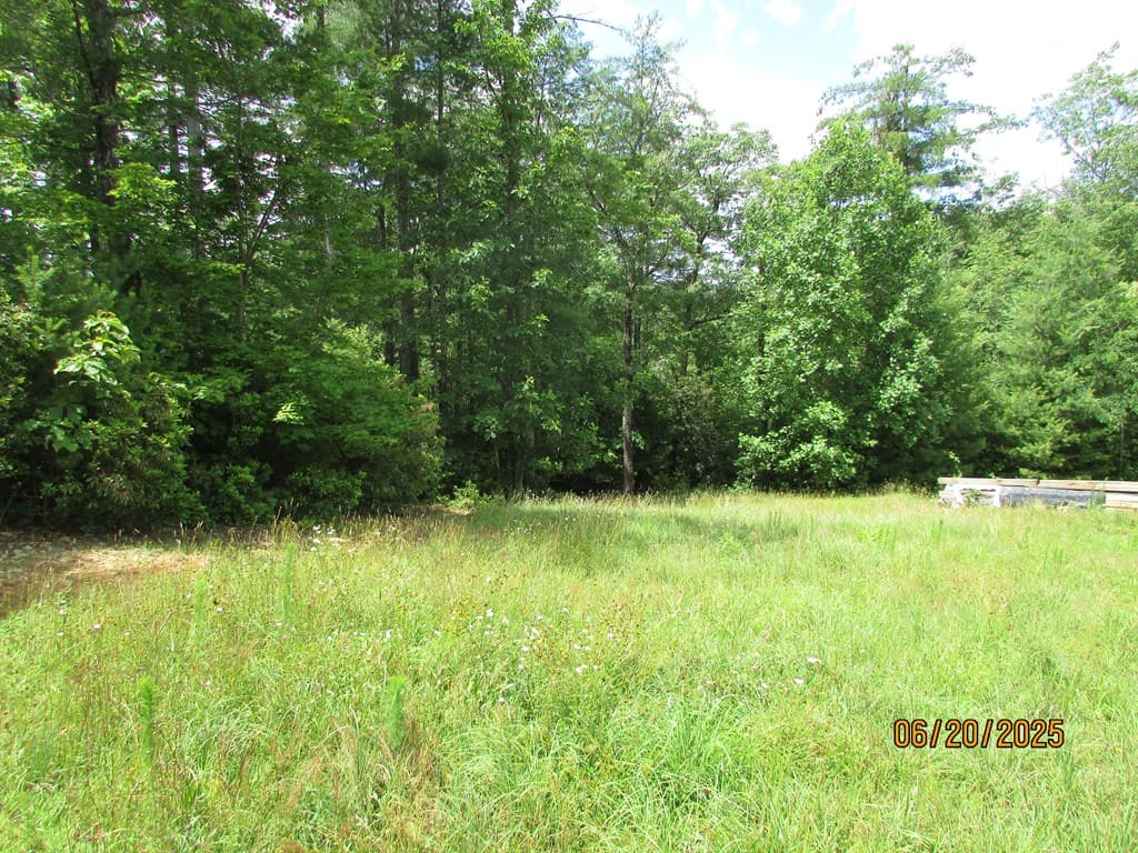#10 Shelton Springs S/D, Hayesville NC 28904 - Photo