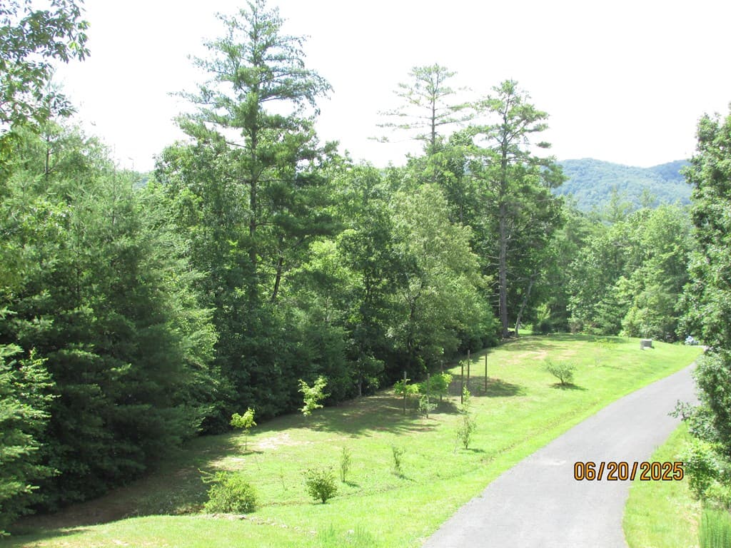 #10 Shelton Springs S/D, Hayesville NC 28904 - Photo