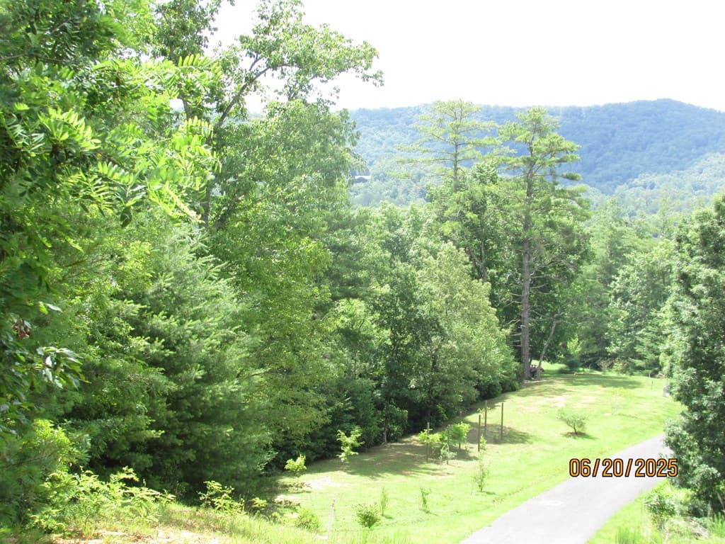 #10 Shelton Springs S/D, Hayesville NC 28904 - Photo
